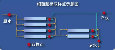 取樣實測分布圖